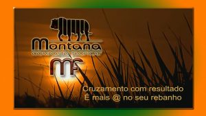 logo ARTE MONTANA 04