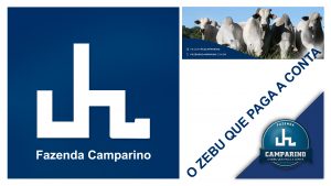Notícia – Pvstv Novidades – FAZENDA CAMPARINO – APRESENTAÇÃO