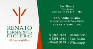 renato1
