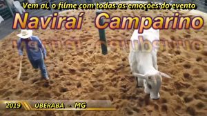 Pvs-Tv Novidades – ENTREVISTA 60 SEGs – CRISTIANO PRATA REZENDE – LEILOPEC